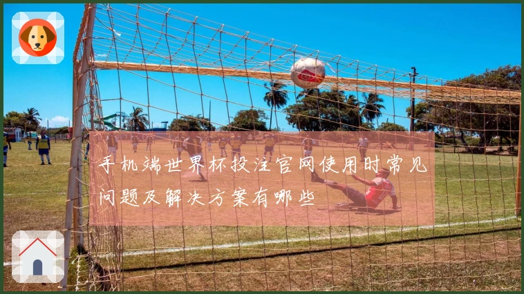 手机端世界杯投注官网使用时常见问题及解决方案有哪些