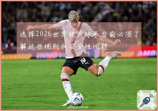 选择2026世界杯买球平台前必须了解这些规则和安全性问题