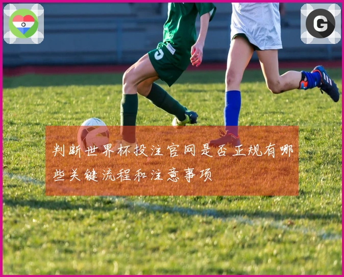 判断世界杯投注官网是否正规有哪些关键流程和注意事项