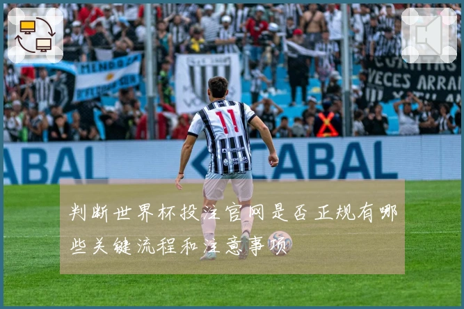 判断世界杯投注官网是否正规有哪些关键流程和注意事项