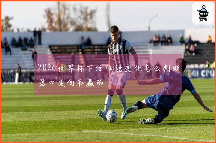 2026世界杯下注临场变化怎么判断盘口走向和赢面