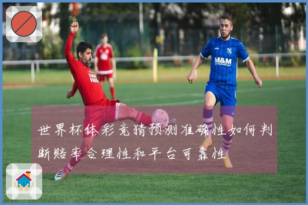 世界杯体彩竞猜预测准确性如何判断赔率合理性和平台可靠性